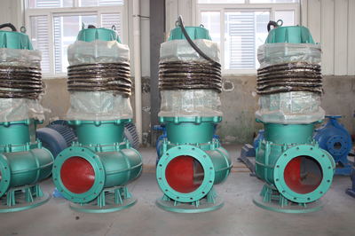 天昊泵業(yè) 專(zhuān)業(yè)排污解決方案——自吸式、不銹鋼潛水與臥式全貫流排污泵詳解